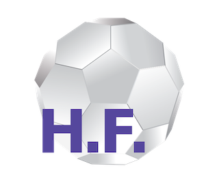 For Hair<br><b>Hair Gloss Fullerene</b>