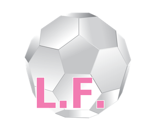 Oil Soluble<br><b>LipoFullerene</b>