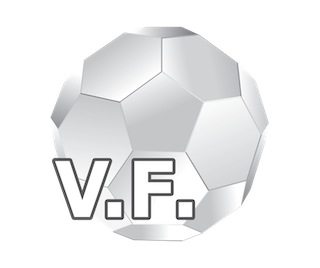 Powder Form<br><b>Veil Fullerene</b>